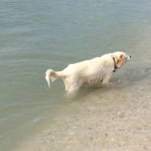 Meet your Posher, Stephanie - Picture 1 of 1